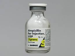 AMPICILLIN SODIUM STERILE