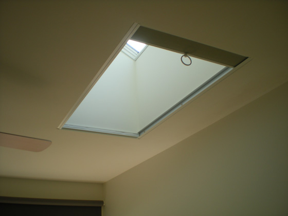 Skylight blinds