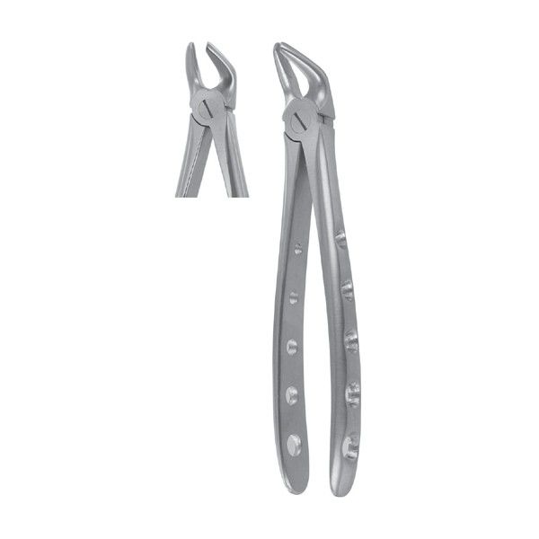 Dental Extracting Forceps
