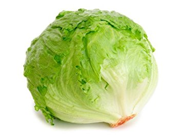 Fresh Lettuce