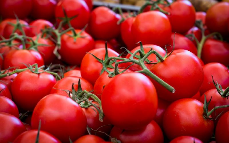 Organic Fresh Tomato
