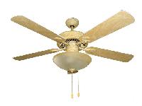 Decorative ceiling fan