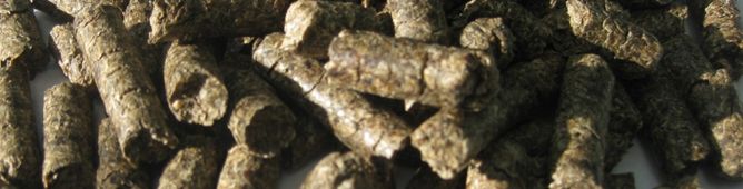 Beet Pulp Pellets