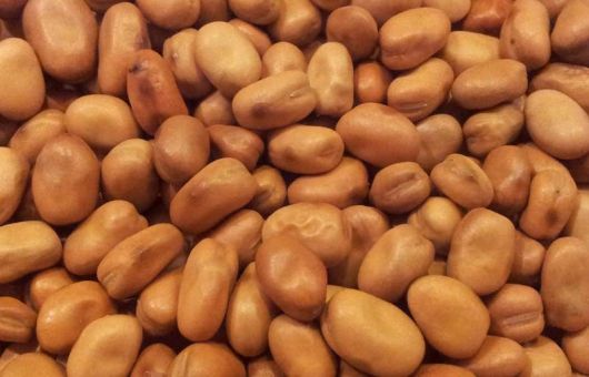 Faba Beans