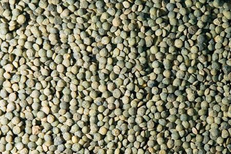 Eston Green Lentils