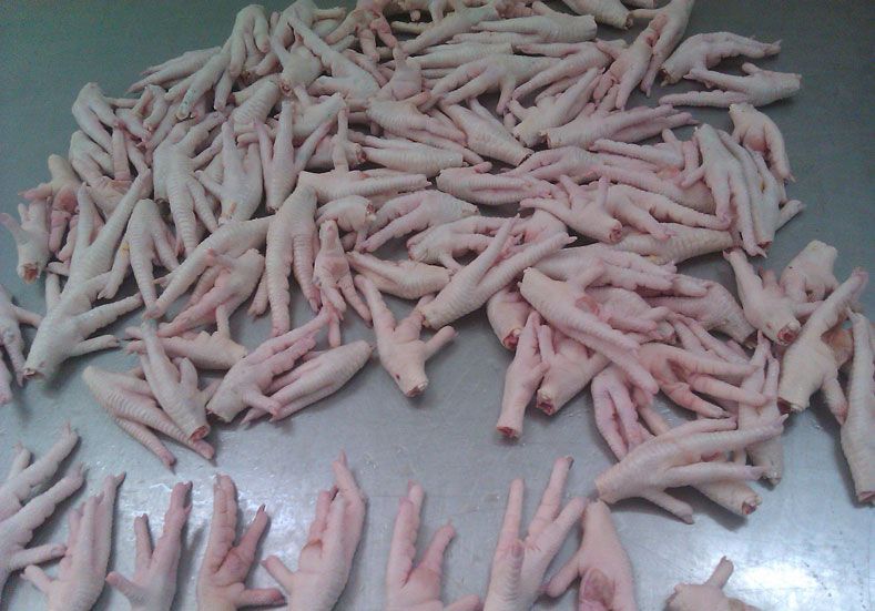 Processed Frozen Chicken Feet