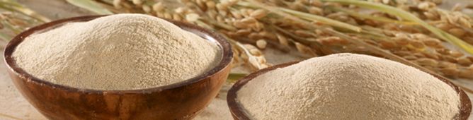 rice bran