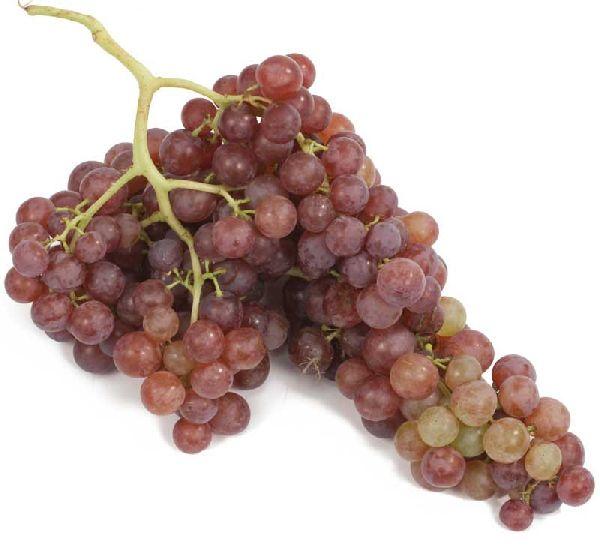 Flame Seedless Grapes