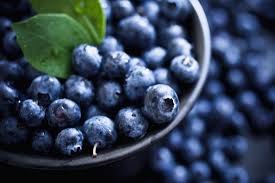 Organic Fresh Blueberry, Variety : Jubilee, Magnolia, Spartan