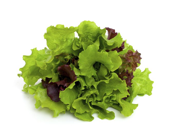 Organic Fresh Lettuce, for Cooking, Feature : Floury Texture, Good In ...