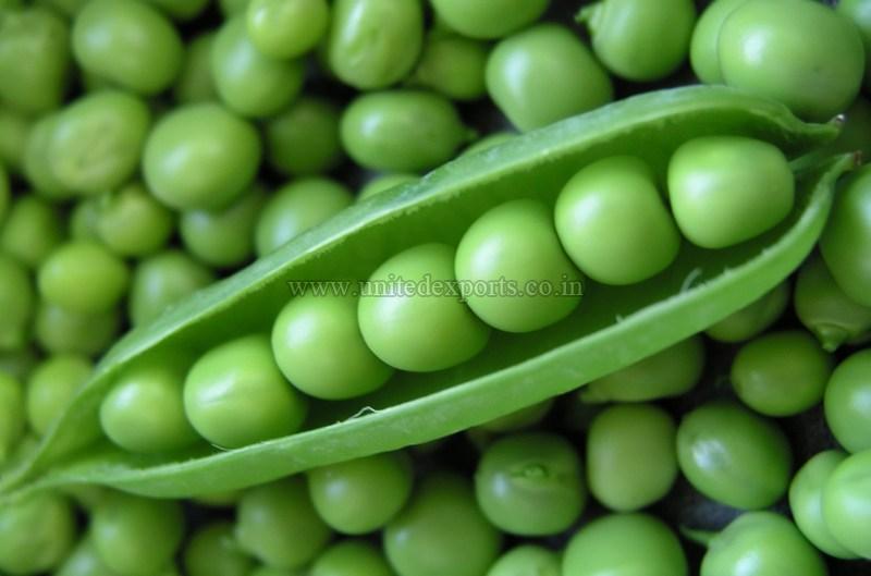 Fresh Green Peas Buy Fresh Green Peas for best price at INR / ( Approx )
