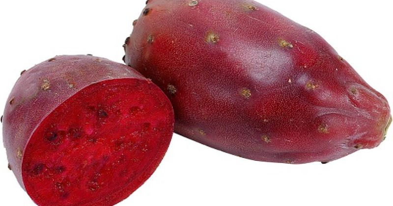Prickly Pear, Color : Red