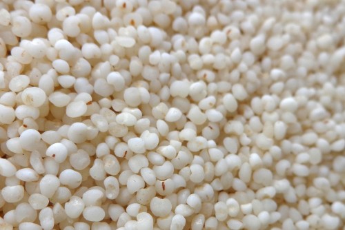 Varagu Rice, for Food, Color : White