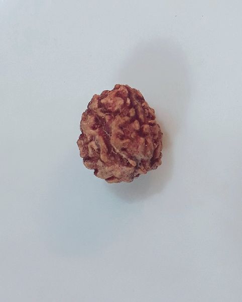 Rudraksha Products