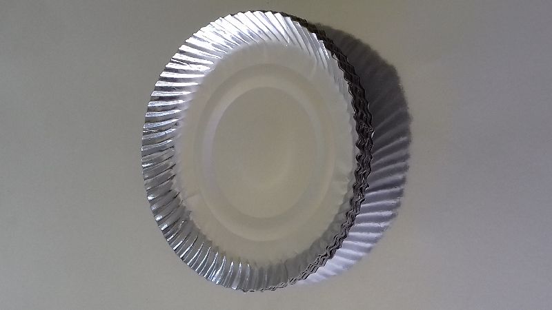 12" Silver Paper Plates