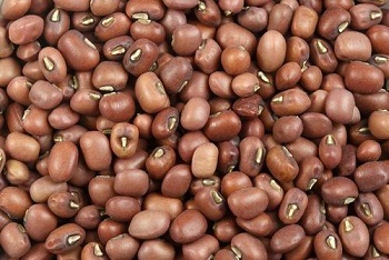Organic moth beans, Packaging Type : Packed in Plastic bags