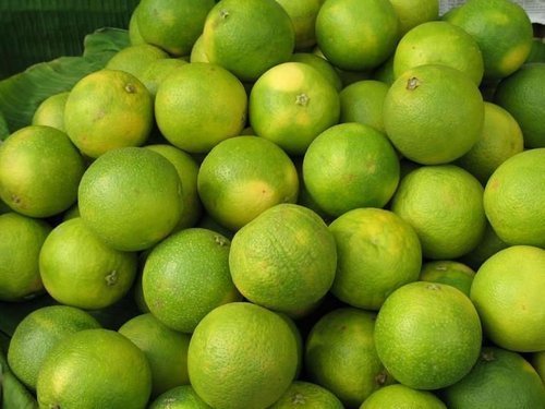 fresh sweet lime