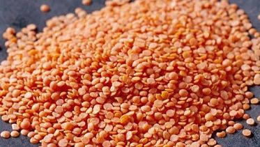 Organic Red Lentils, Packaging Type : Packed in Plastic bags