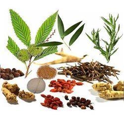 Herbal raw material