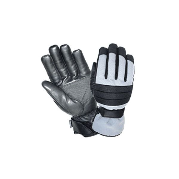 SKI Gloves