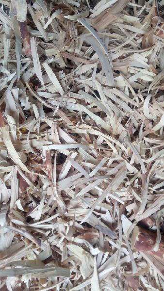 Sandal wood chips