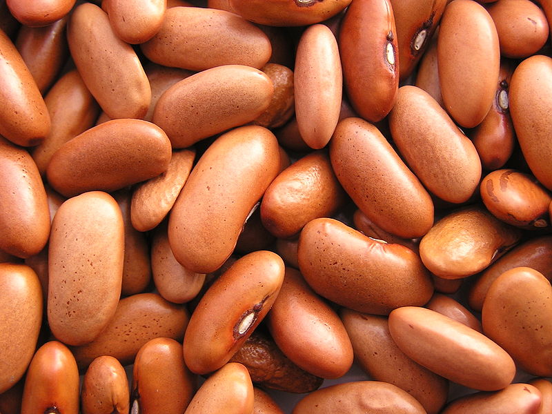Common Beans