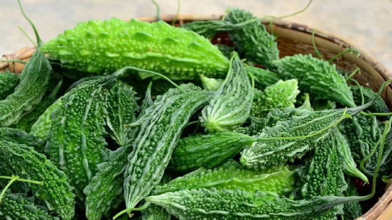 Fresh Bitter Gourd, Color : Green