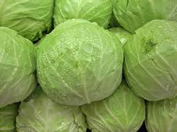 fresh cabbage