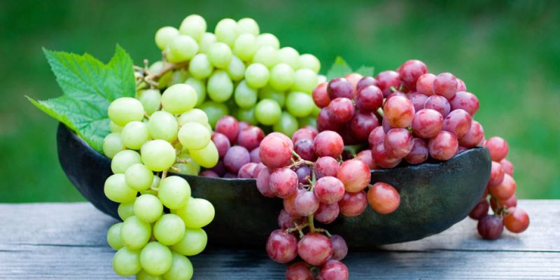 Fresh Grapes, Color : Green, Red, Black