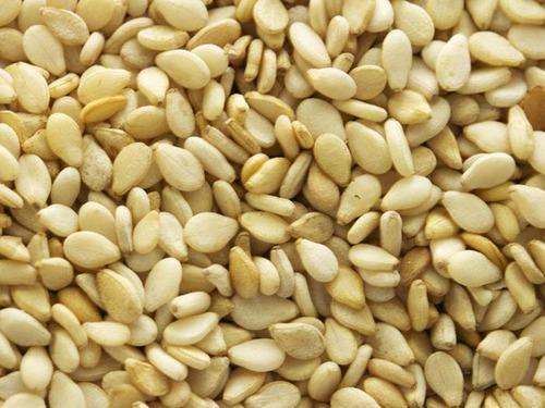 Common white sesame seeds, Purity : 99%