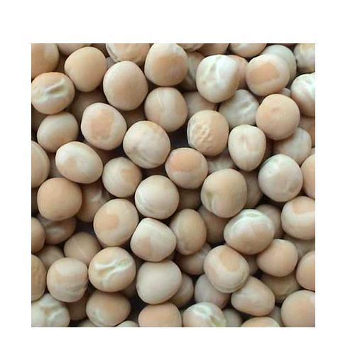 Dried Peas, Color : White