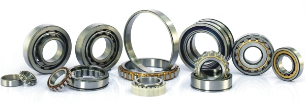 Cylindrical Bearing