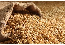 All Purpose Wheat Grains