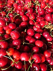 Organic Fresh Cherry, Packaging Type : Packed in good quality boxes