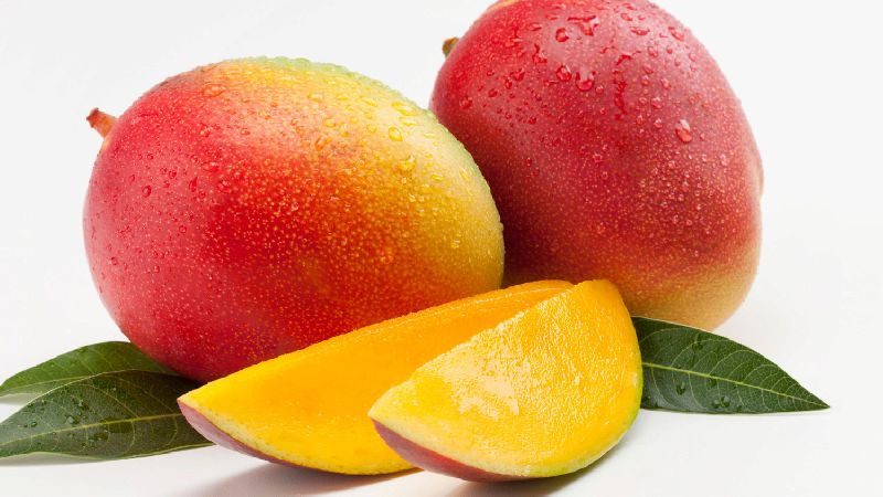 Organic Fresh Mango,fresh mango, Packaging Type : Packed in good quality boxes