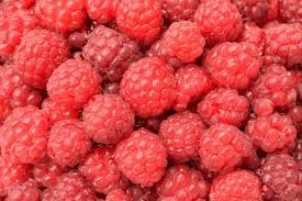 Organic Fresh Raspberry