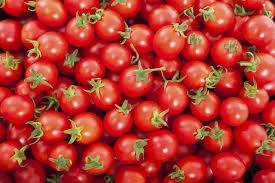 Fresh Tomato, Packaging Type : corrugated box