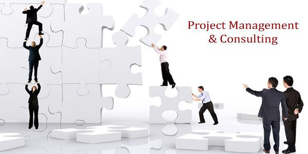 Project Management Consultancy Services