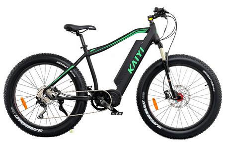 bafang ultra fat bike