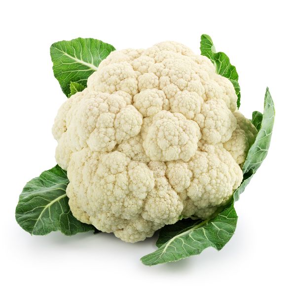 Organic Fresh Cauliflower, Packaging Type : Packed in good quality boxes