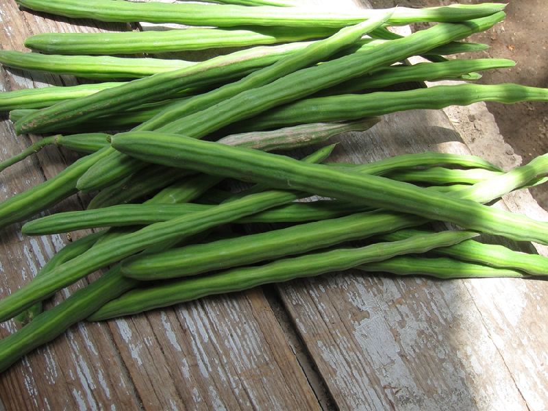 fresh vegetables