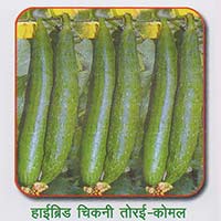 Natural Sponge Gourd, for Human Consumption, Cooking, Packaging Type : Plastic Packet, Plastic Bag