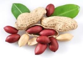 groundnuts