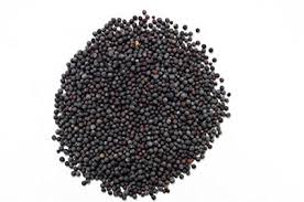 Organic black mustard seeds