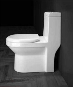 lucido one piece toilet