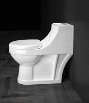 suprimo one piece toilet