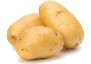 fresh potato