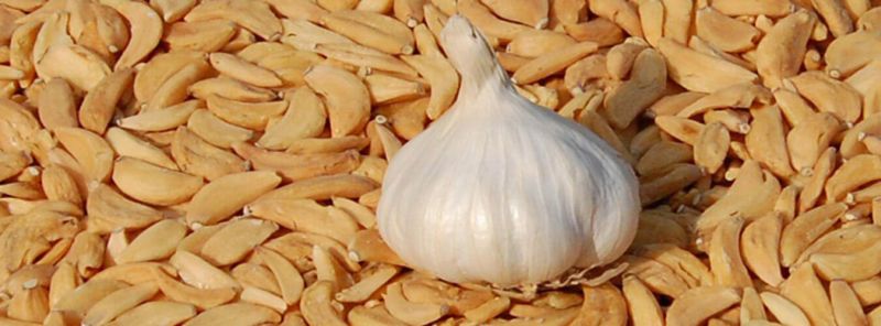 Dehydrated Garlic, for Hotel/Restaurant, Making Spices, Home, Color : Brownish