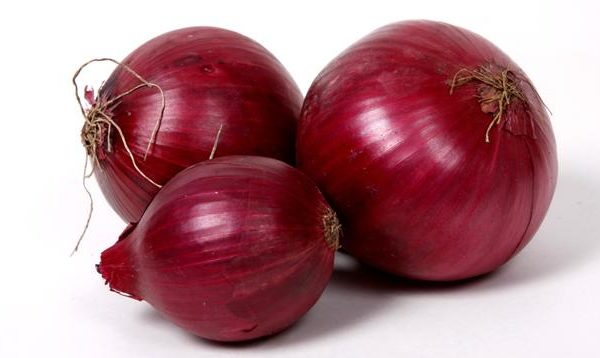 Organic fresh red onion