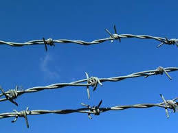 barbed wire